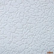 抗下陷吊頂天花板 204