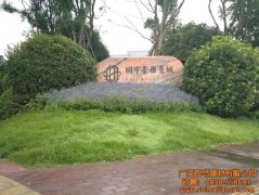 都江堰木紋板案例